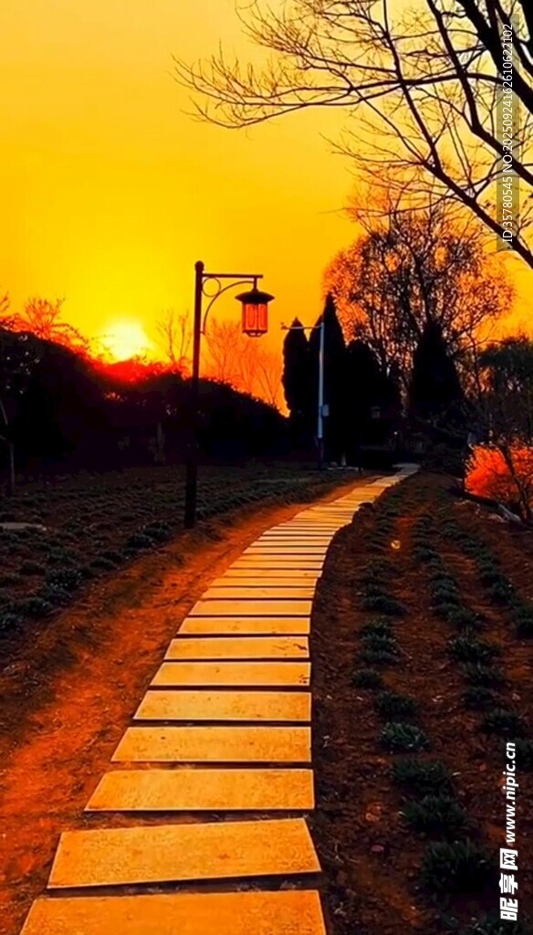 夕陽(yáng)下的林間石板小徑