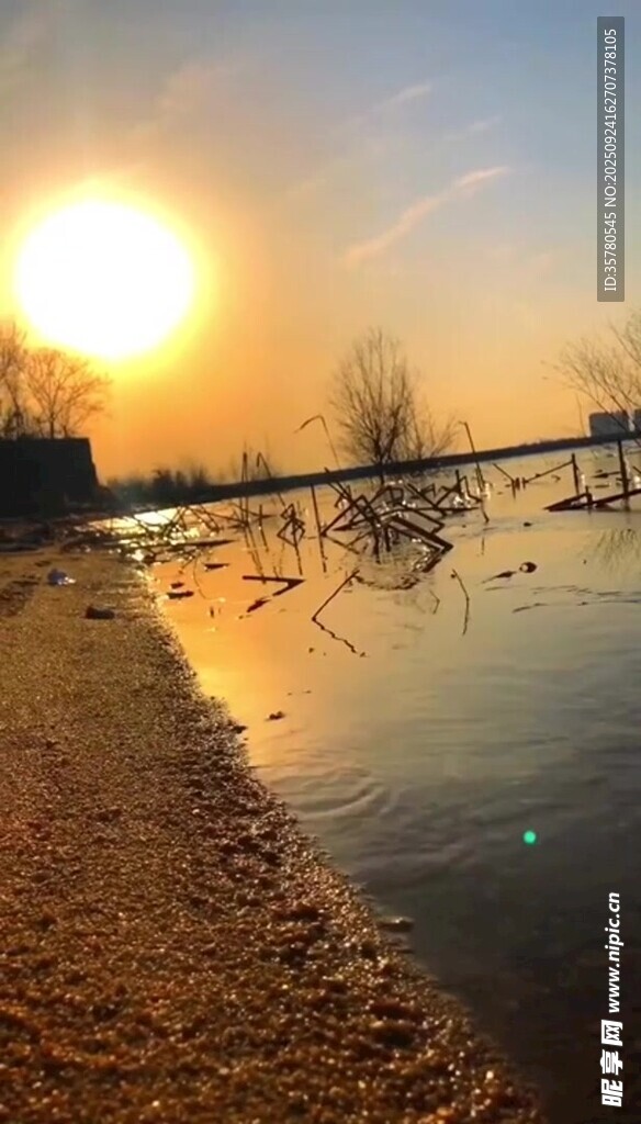 夕陽下的河畔美景
