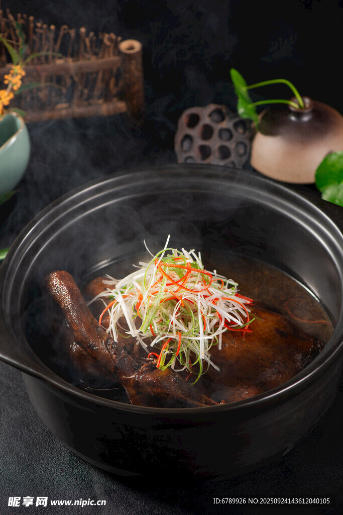 京蔥生態(tài)老麻鴨
