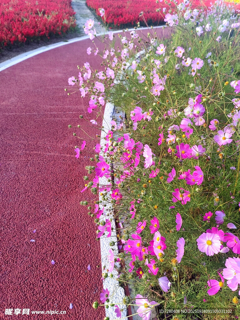 繁花簇?fù)淼募t色小徑