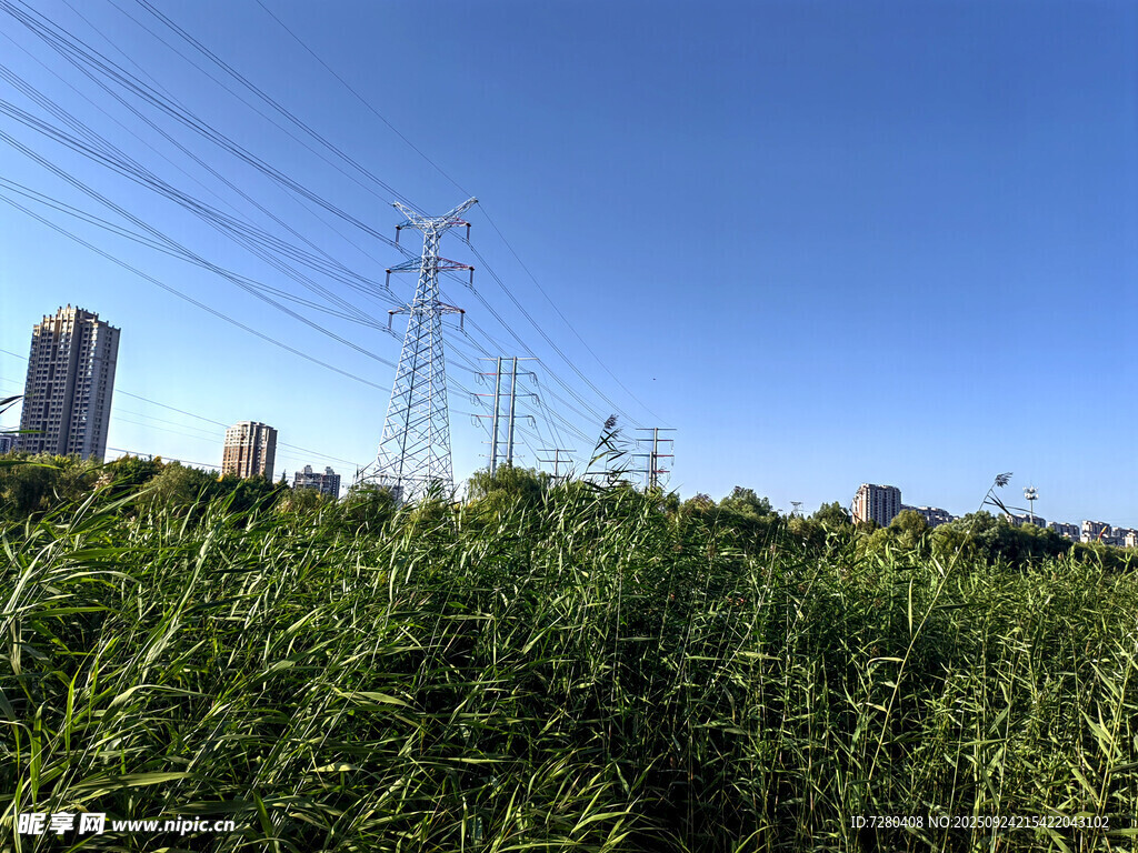 田野間的電線與遠處高樓