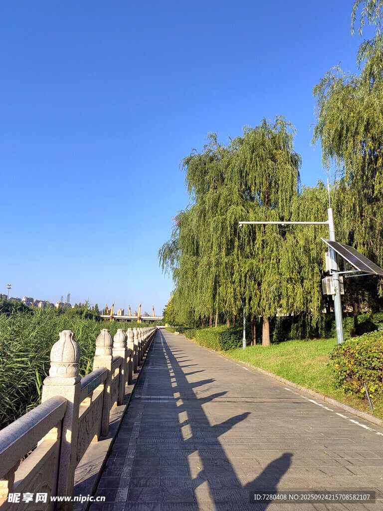 鄉(xiāng)間小路垂柳相伴的風景