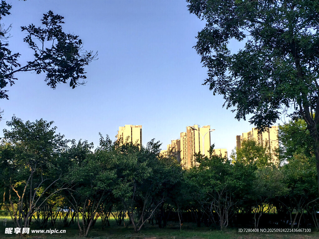城市林間景高樓映藍(lán)天