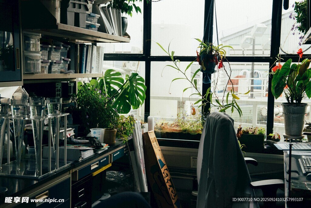 室內(nèi)綠植與復(fù)古物件角落