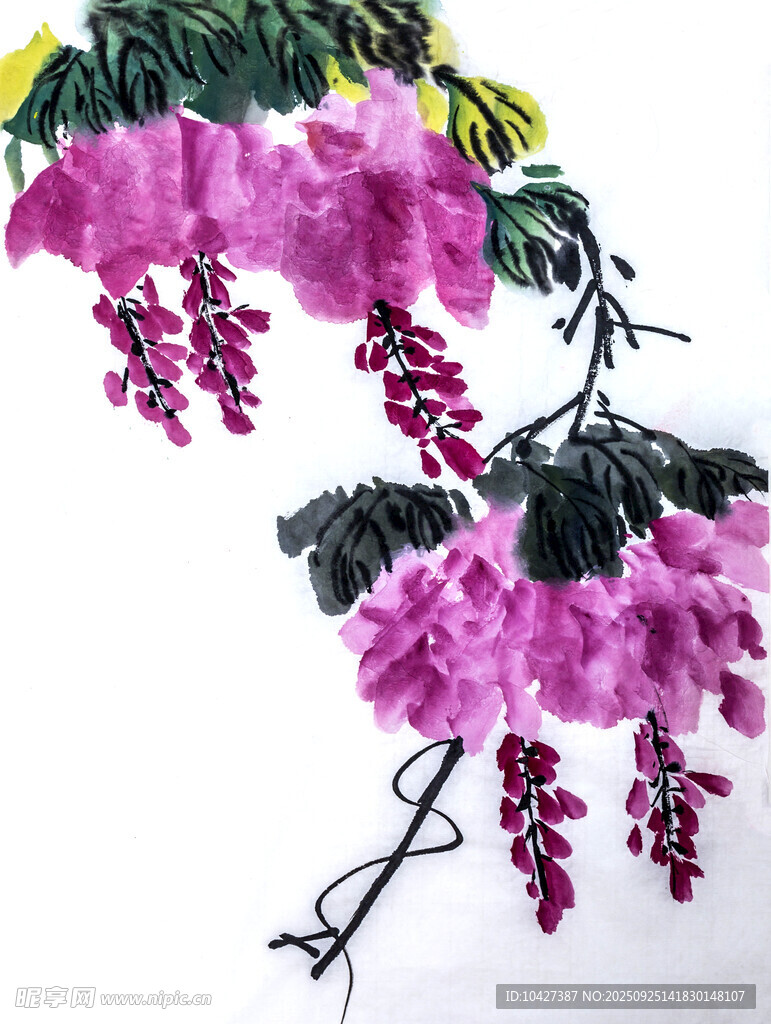 紫色藤蔓花特寫(xiě)