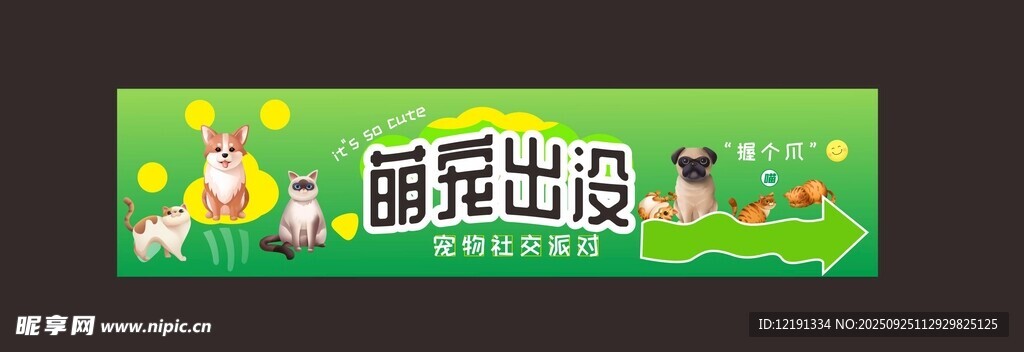 寵物 綠色 零食 貓 狗 