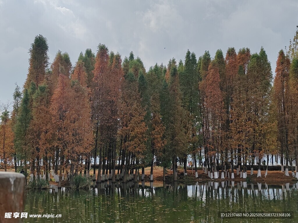 湖畔彩林秋景如畫