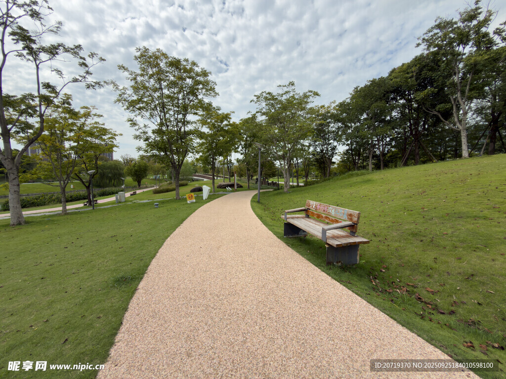 公園小徑旁的長椅與綠樹