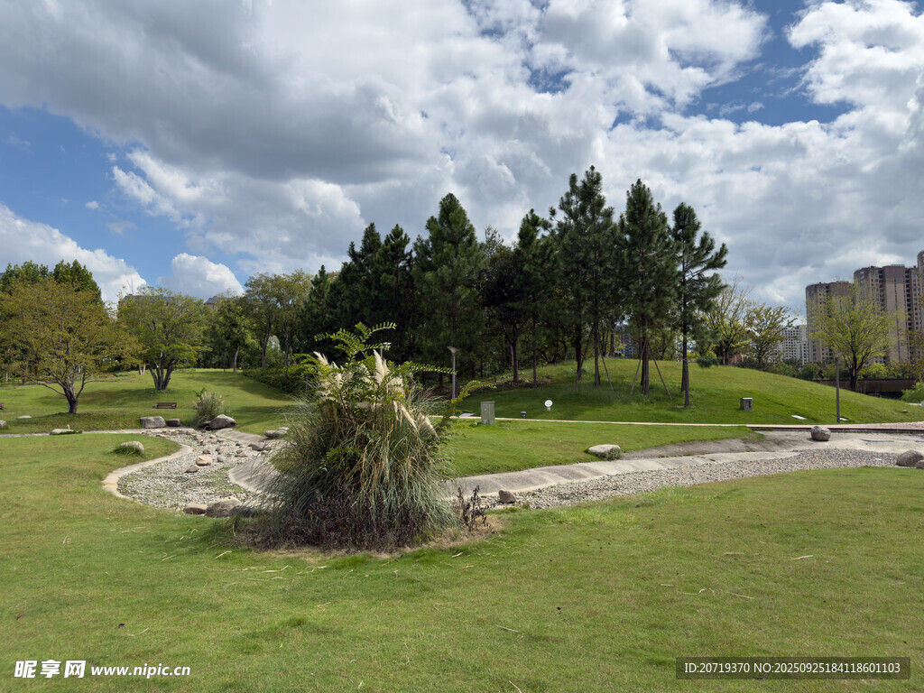 戶外美麗公園景觀