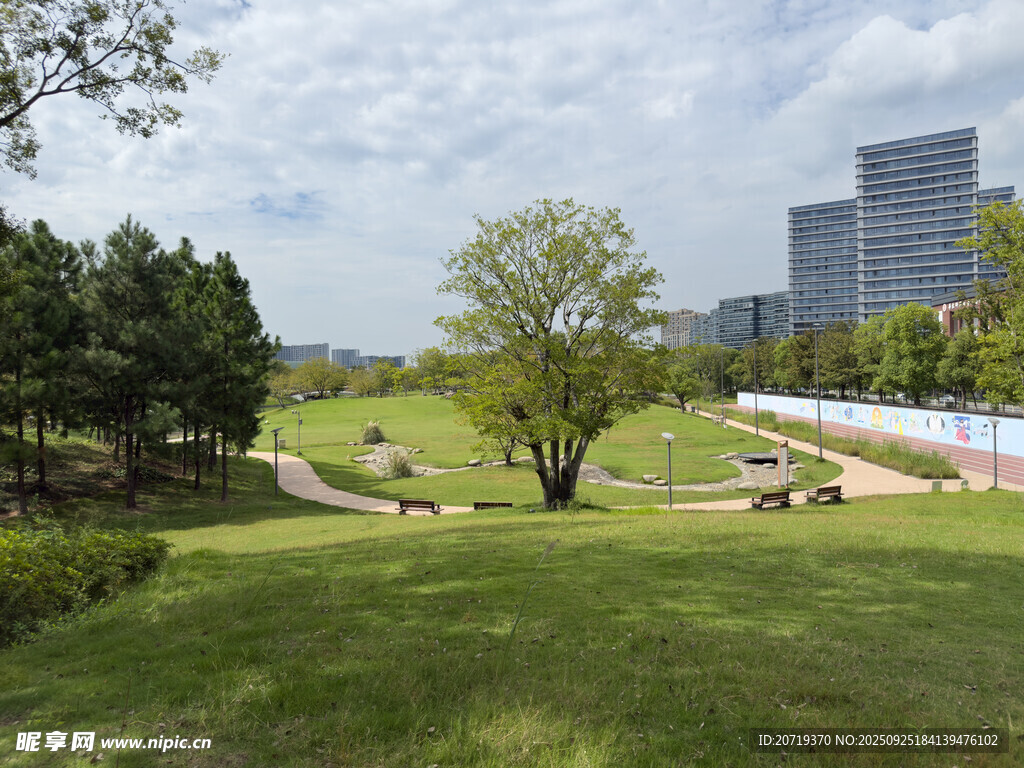 城市中的綠意盎然公園