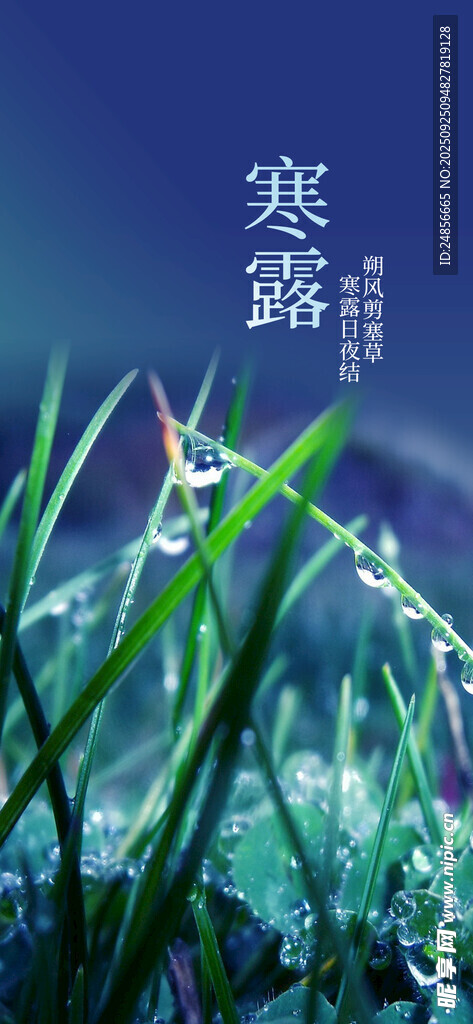 24節(jié)氣 寒露 微信 節(jié)氣海報