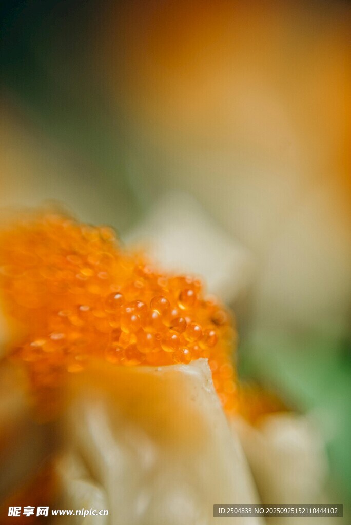 美味魚子壽司特寫