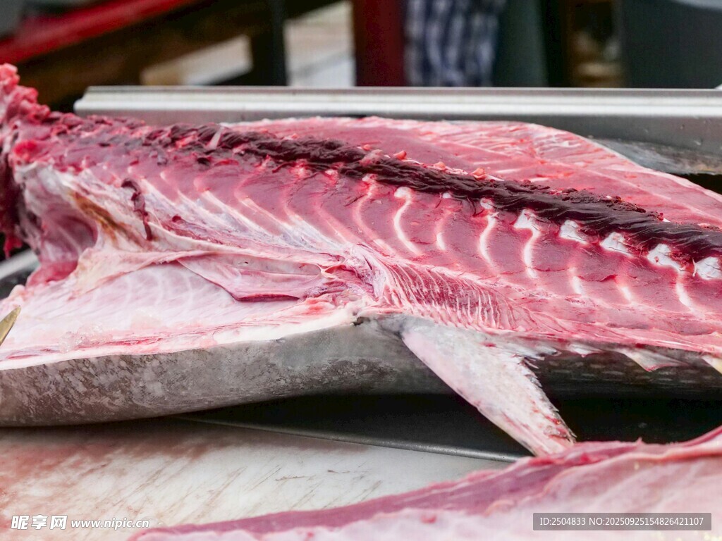 新鮮魚骨展示