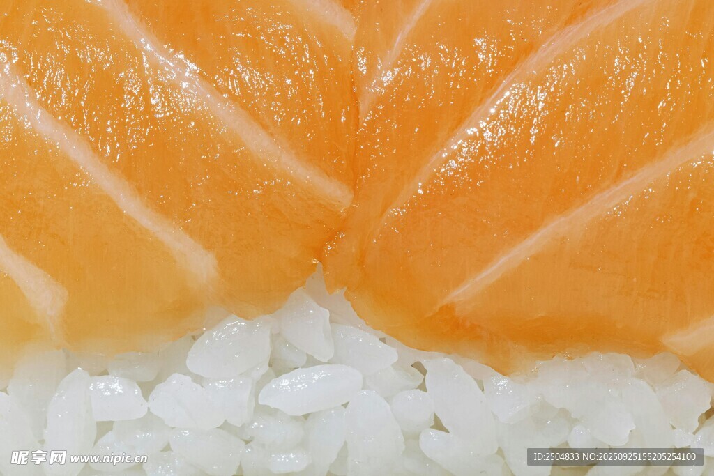 三文魚壽司特寫