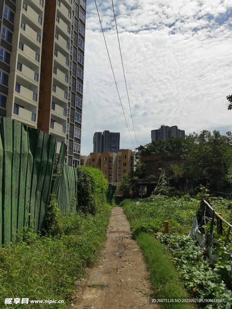 城市中夾縫里的綠色小徑
