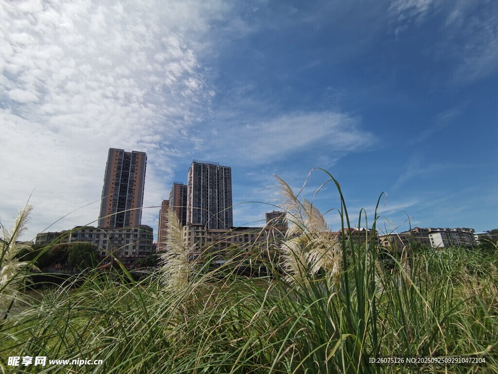 城市高樓與草地藍天景象