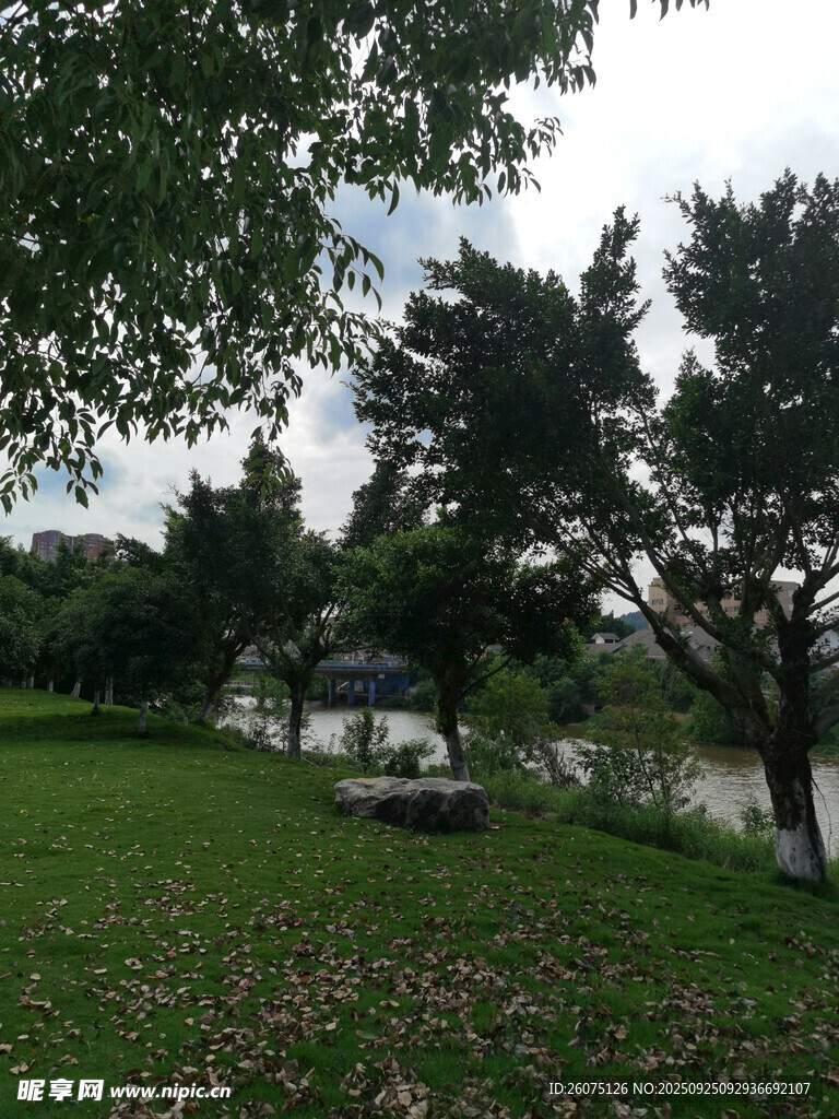 湖畔綠意盎然的寧靜景致