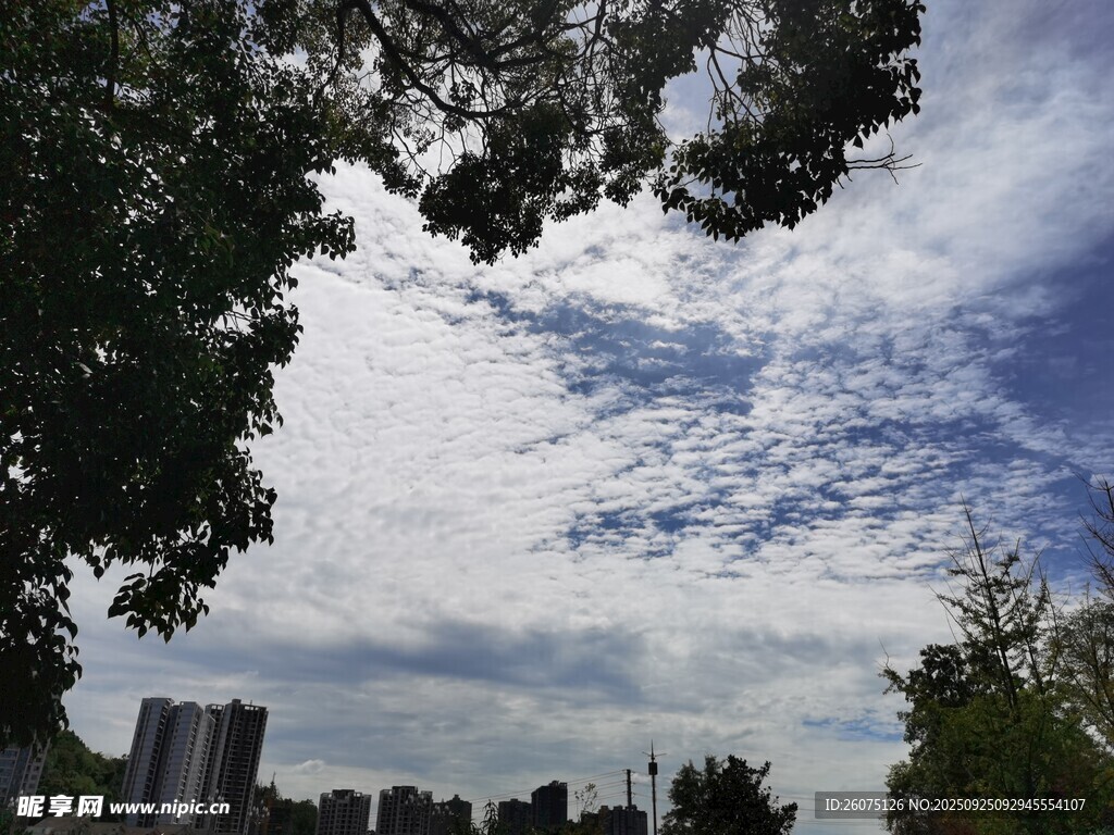 藍(lán)天白云下的綠樹與建筑