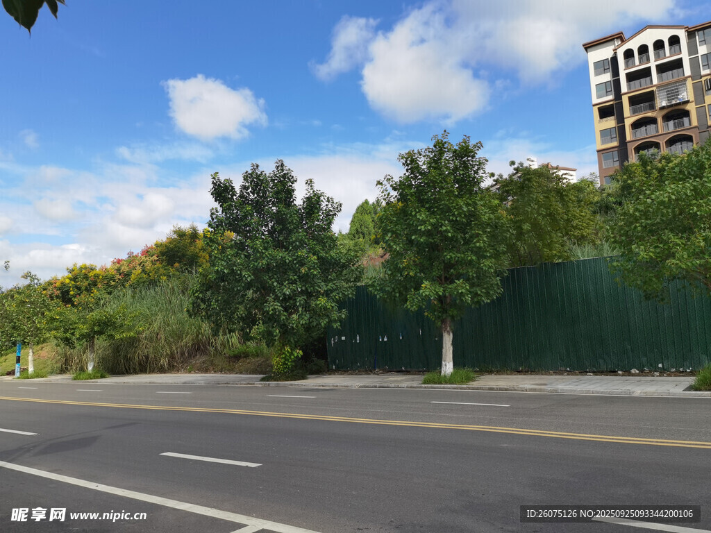 城市道路旁的綠植與建筑