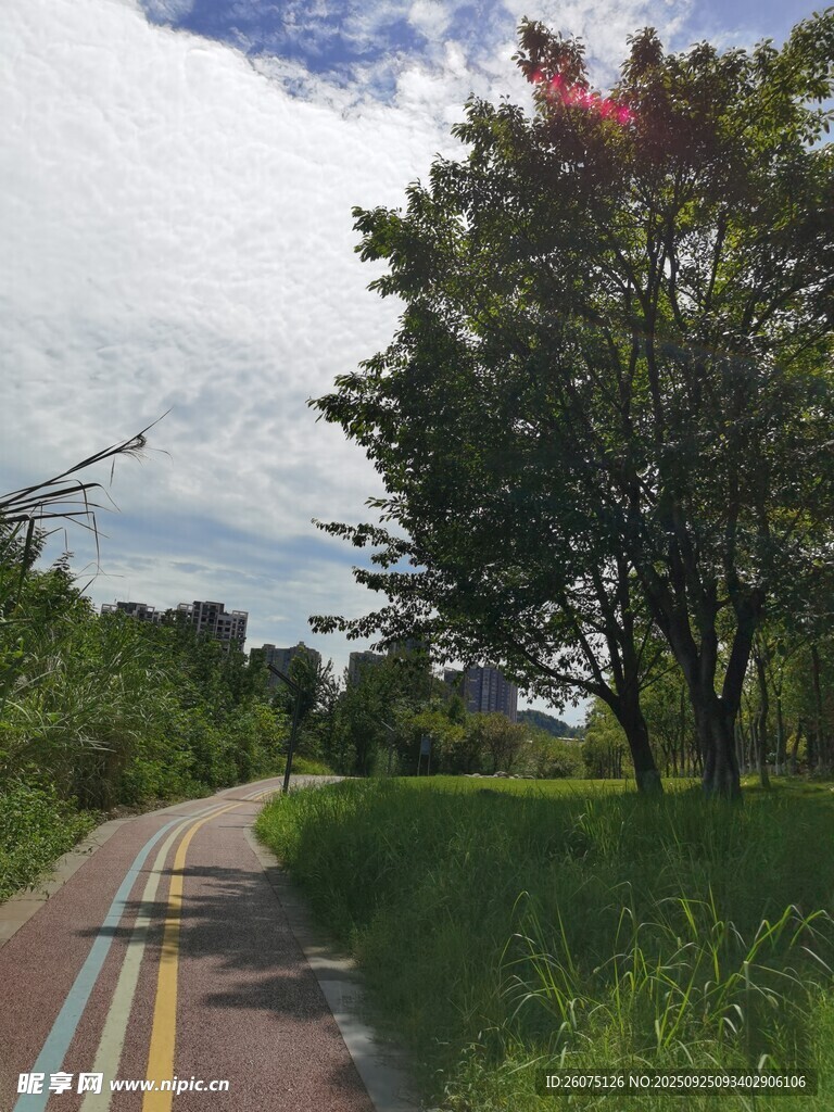 鄉(xiāng)村多彩騎行小路風景