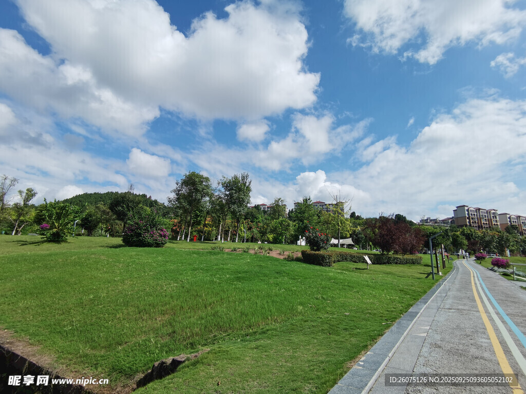 鄉(xiāng)村公路旁的綠意風景