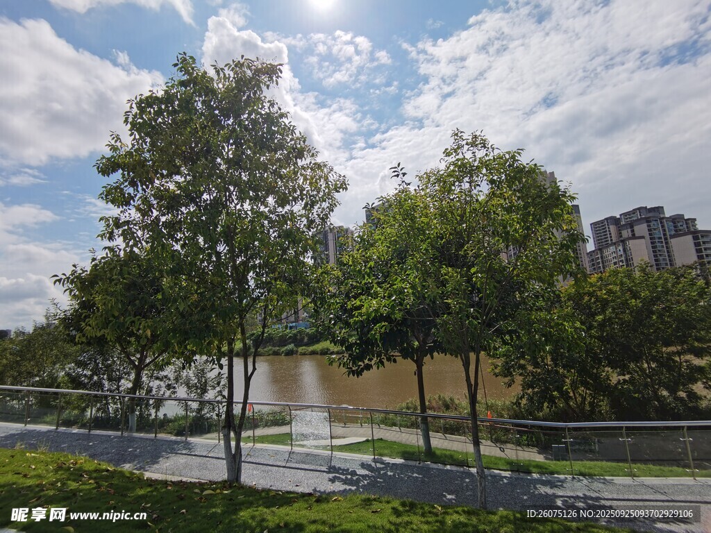 城市河畔綠樹藍天美景