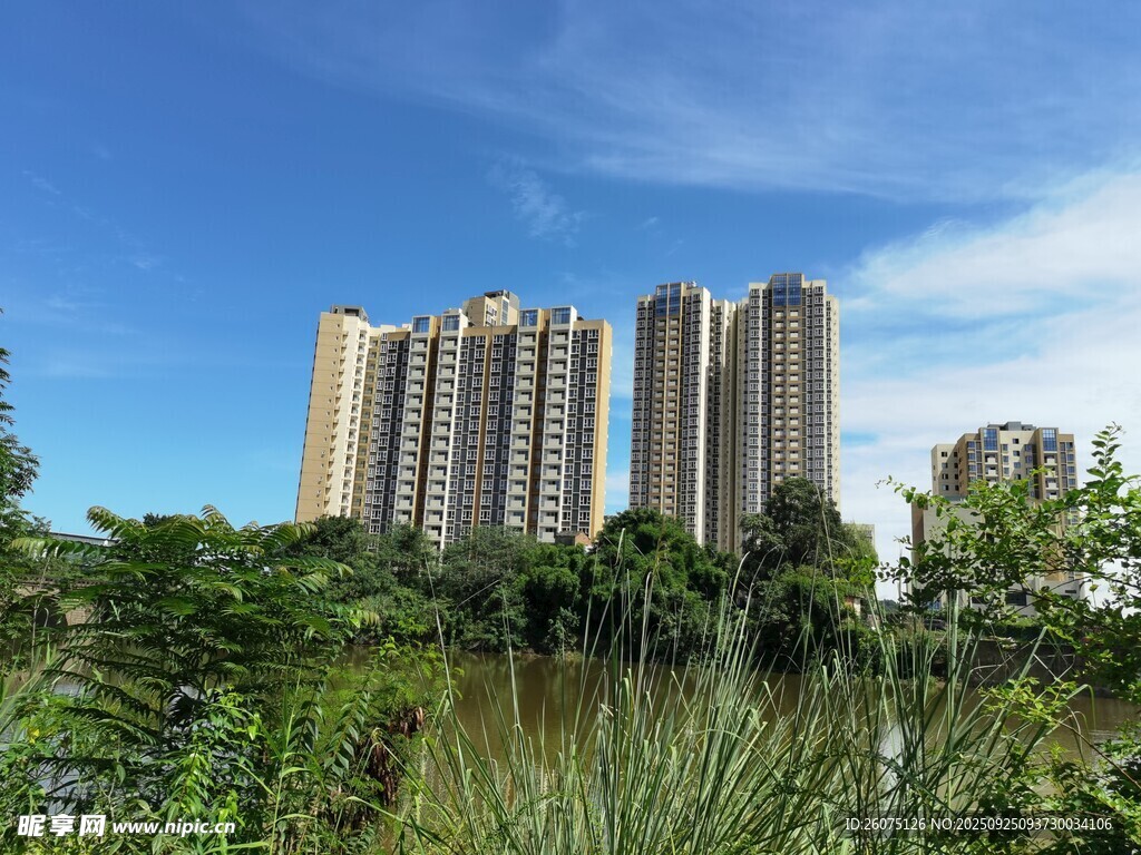 高樓林立間的綠意景致