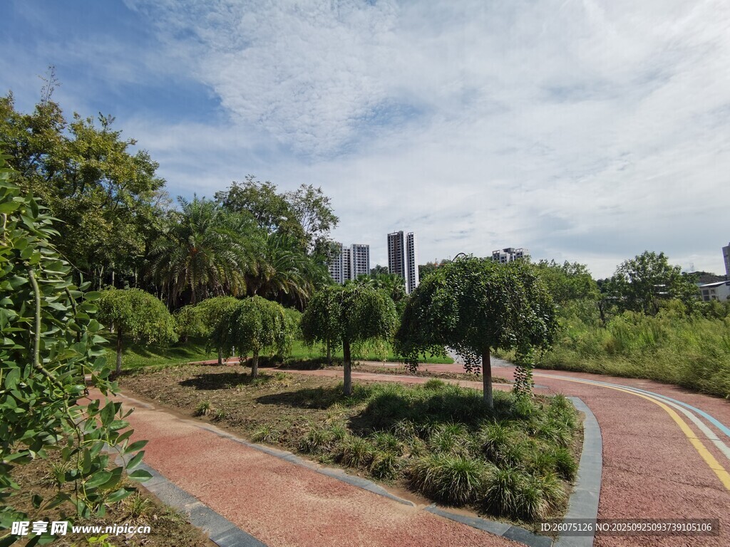城市中的靜謐園林小徑