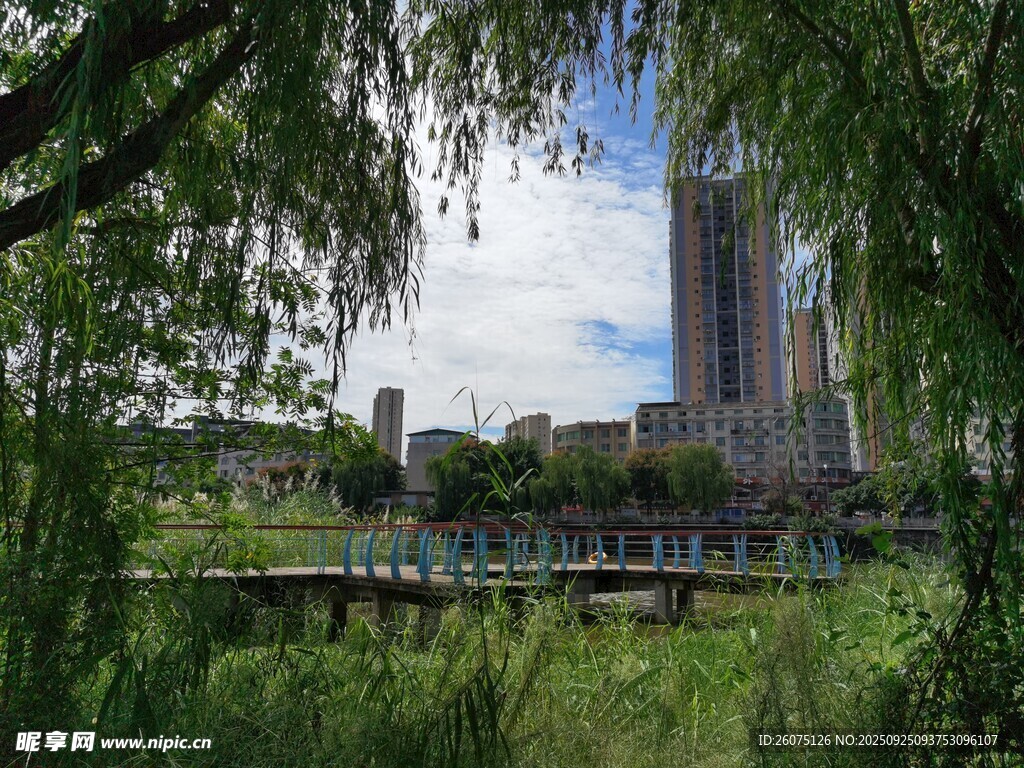 城市河畔綠樹環(huán)繞景致