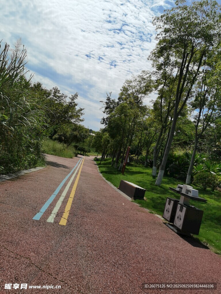 公園彩色步道景色宜人