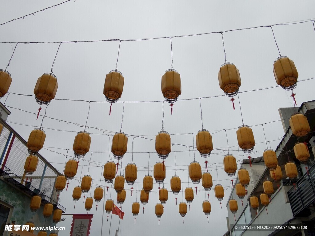 街道懸掛的特色燈籠景觀