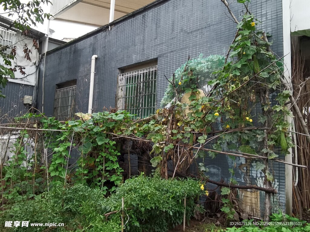 灰墻綠植環(huán)繞的溫馨住宅