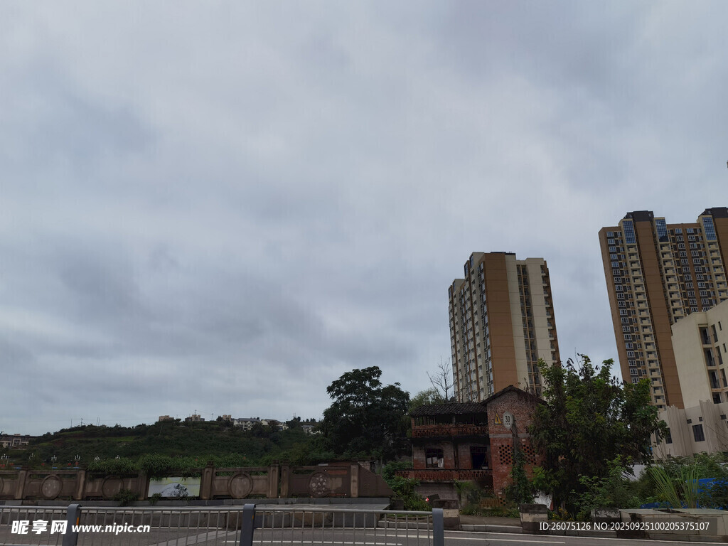 城市中的高樓與綠樹景觀