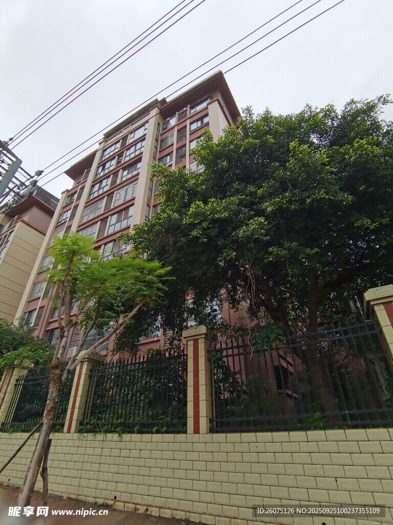 小區(qū)住宅樓旁綠植景觀