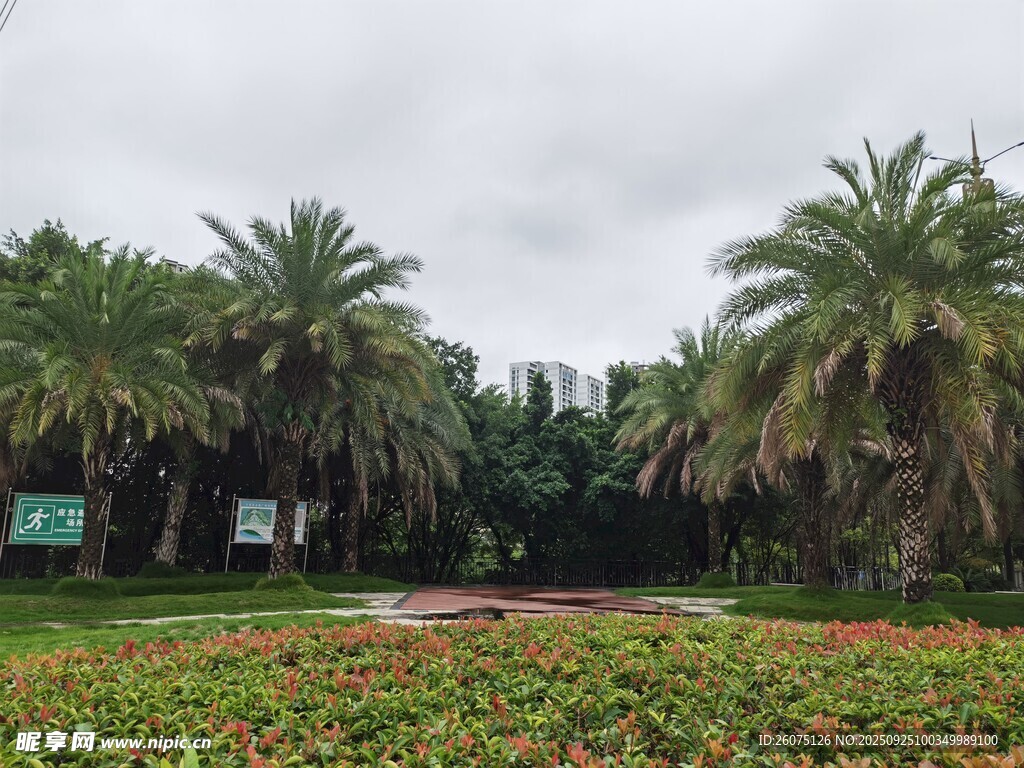 熱帶風光中的多彩植物景觀