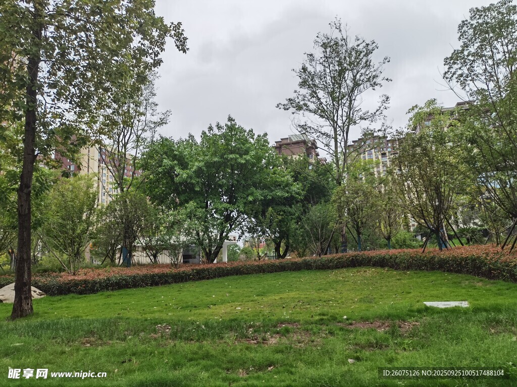 城市中的綠意盎然公園景觀