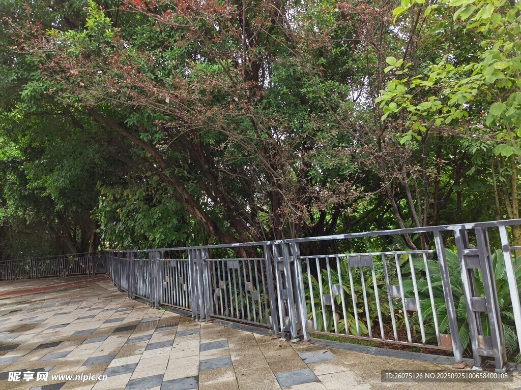 林間小道旁的金屬圍欄