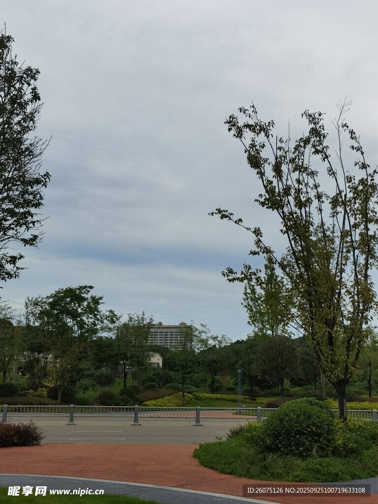 戶(hù)外綠樹(shù)環(huán)繞的開(kāi)闊景致