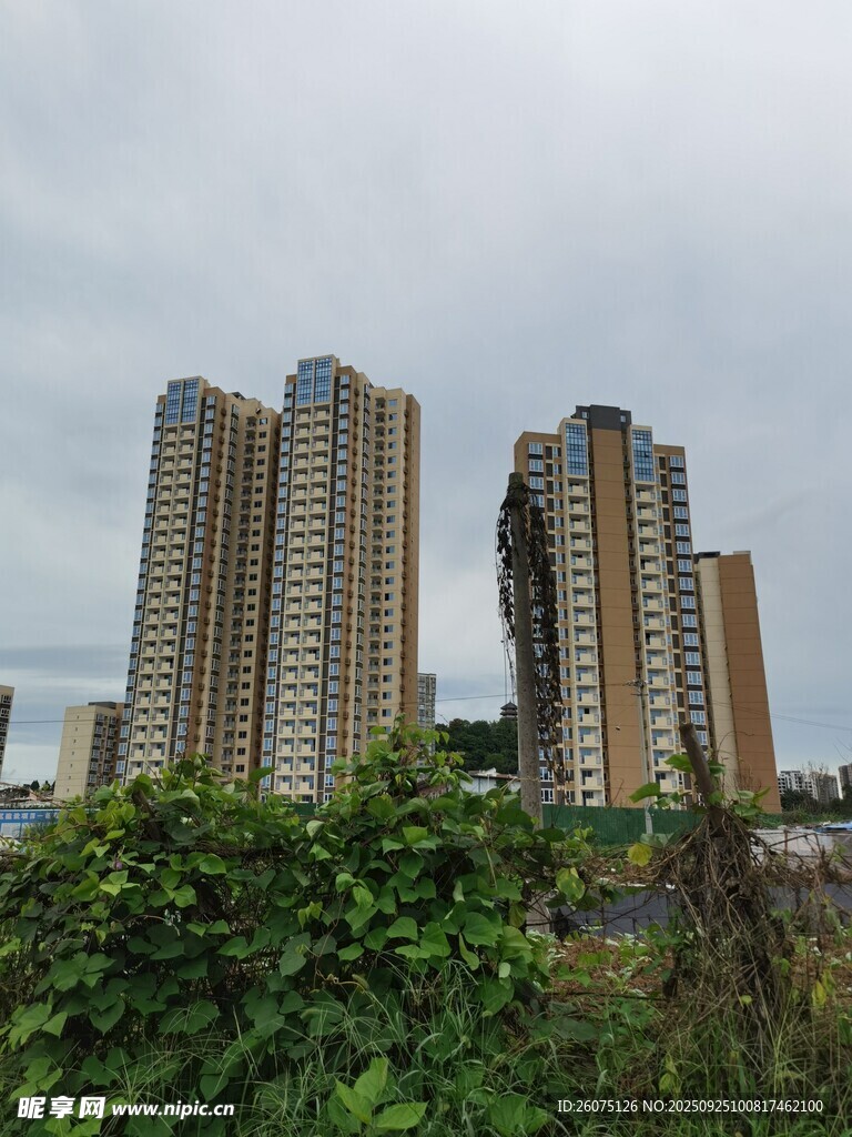 城市中林立的高層住宅樓