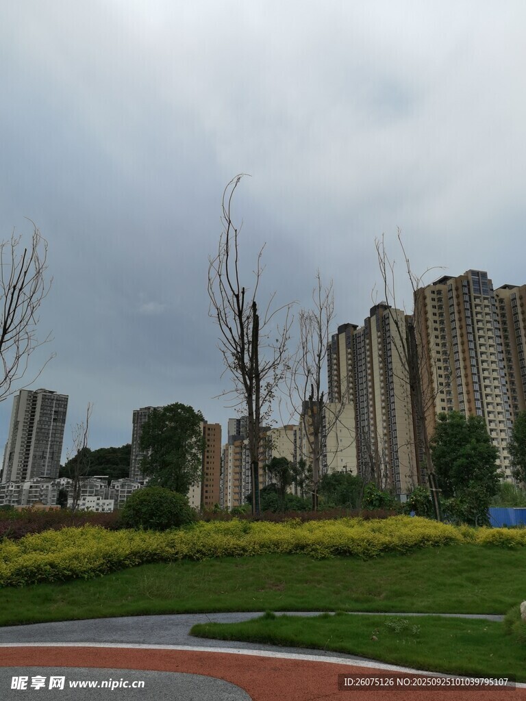 城市綠地旁的高樓景觀
