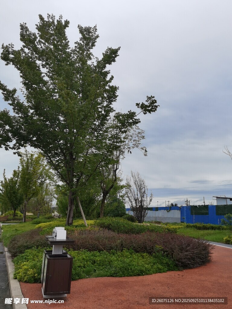 公園中的綠樹(shù)與紅磚步道