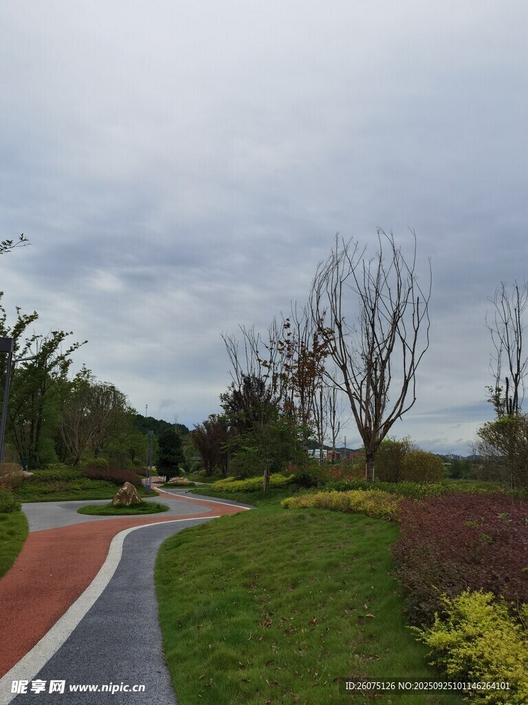 公園蜿蜒小徑與多彩植被