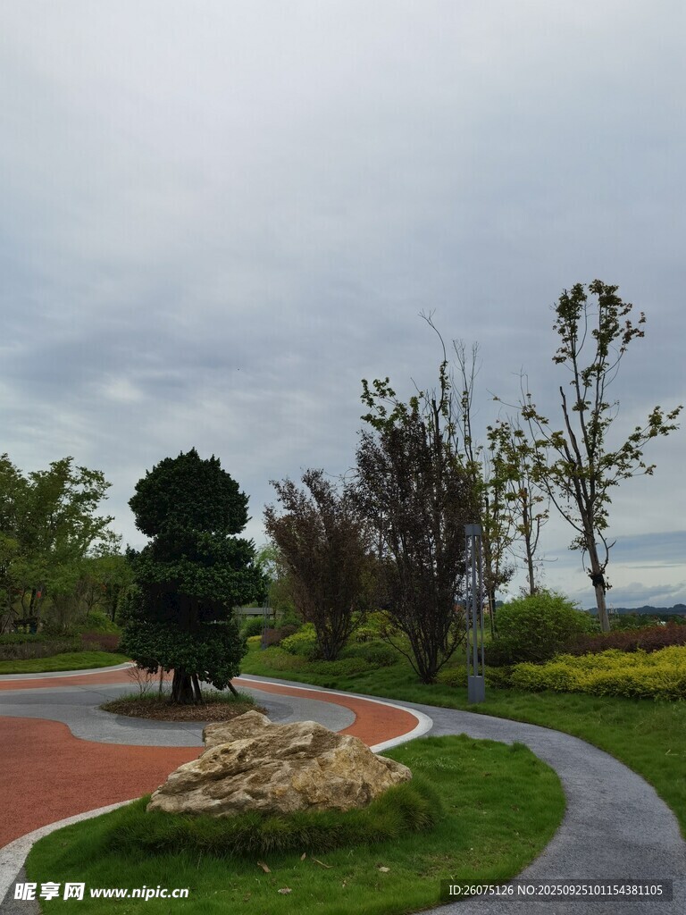 園林景觀中的綠植與小徑