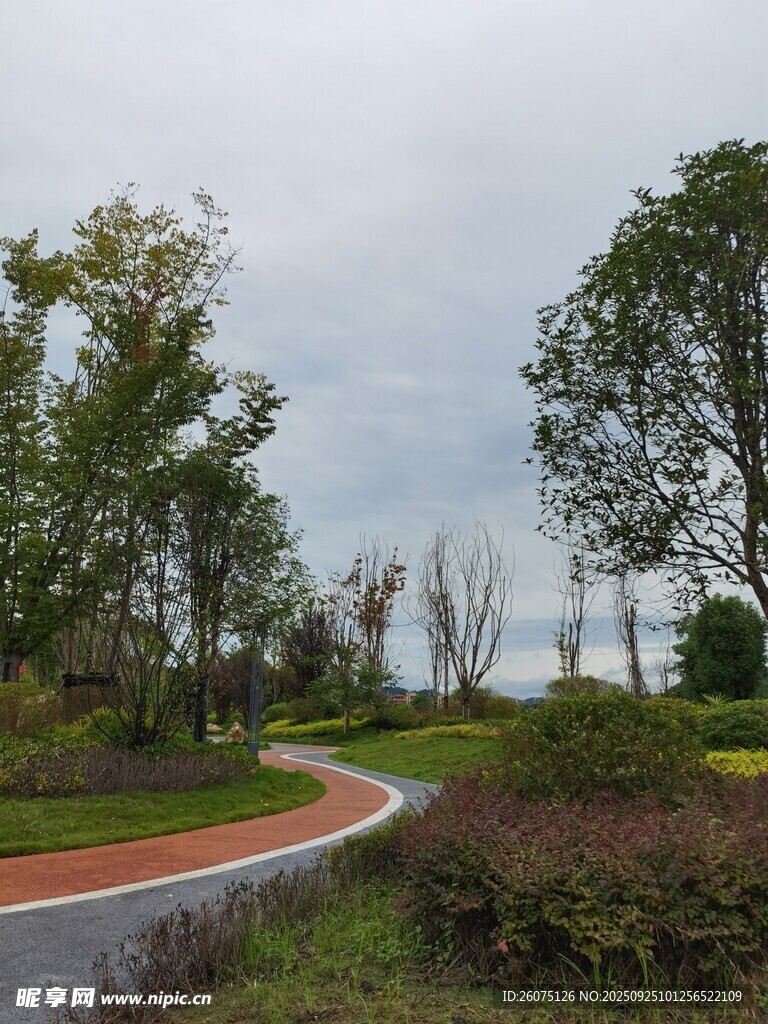 蜿蜒小路旁的自然景致