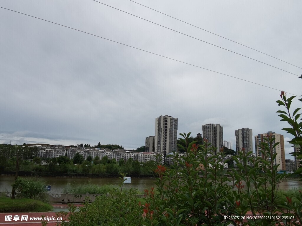城市遠景與綠植景觀
