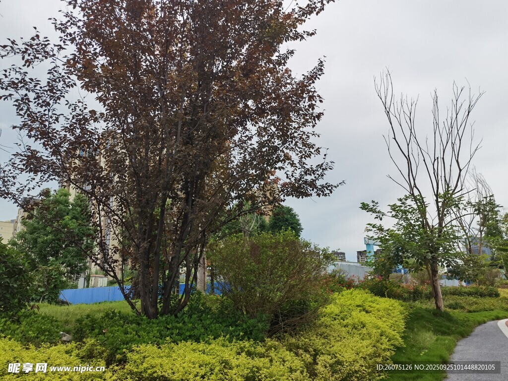 公園多彩綠植景觀