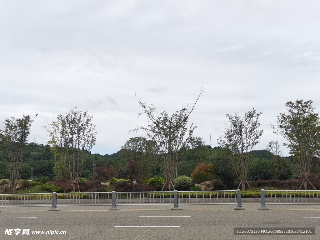 空曠戶外場地與遠處樹木