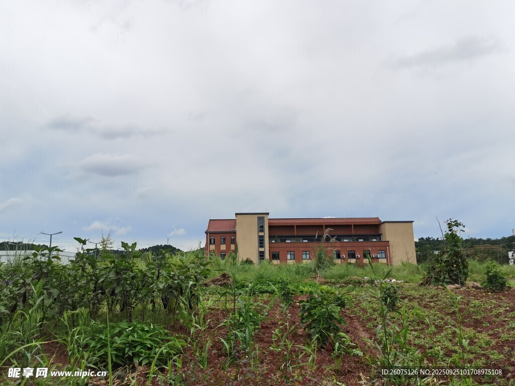 田野中的紅頂建筑