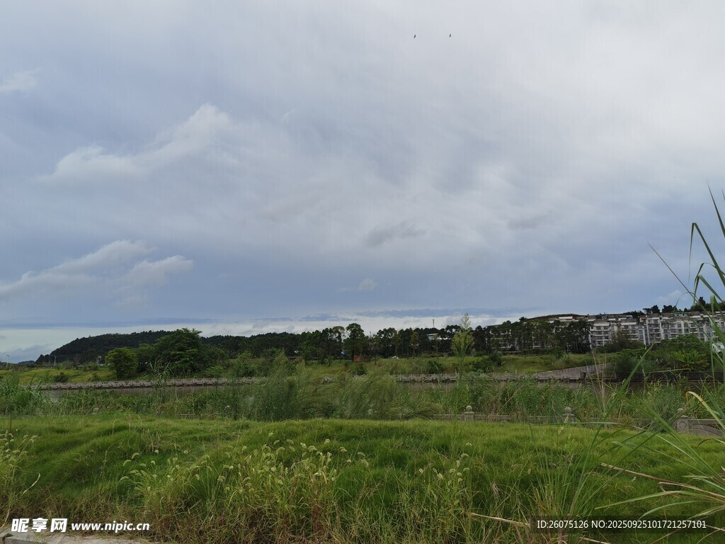 田野風(fēng)光綠意盎然的景致