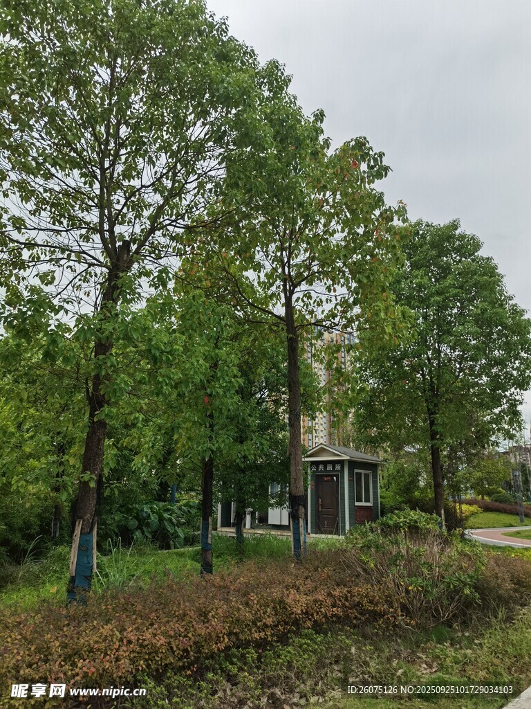 林間小屋靜謐自然景致